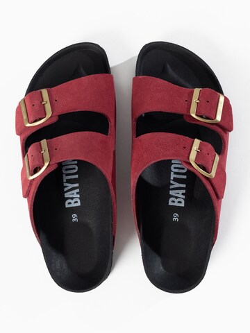 Zoccoletto 'Atlas' di Bayton in rosso