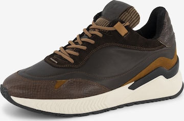 DenBroeck Sneakers laag 'Baxter St.' in Bruin: voorkant