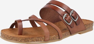 COSMOS COMFORT T-Bar Sandals in Brown: front