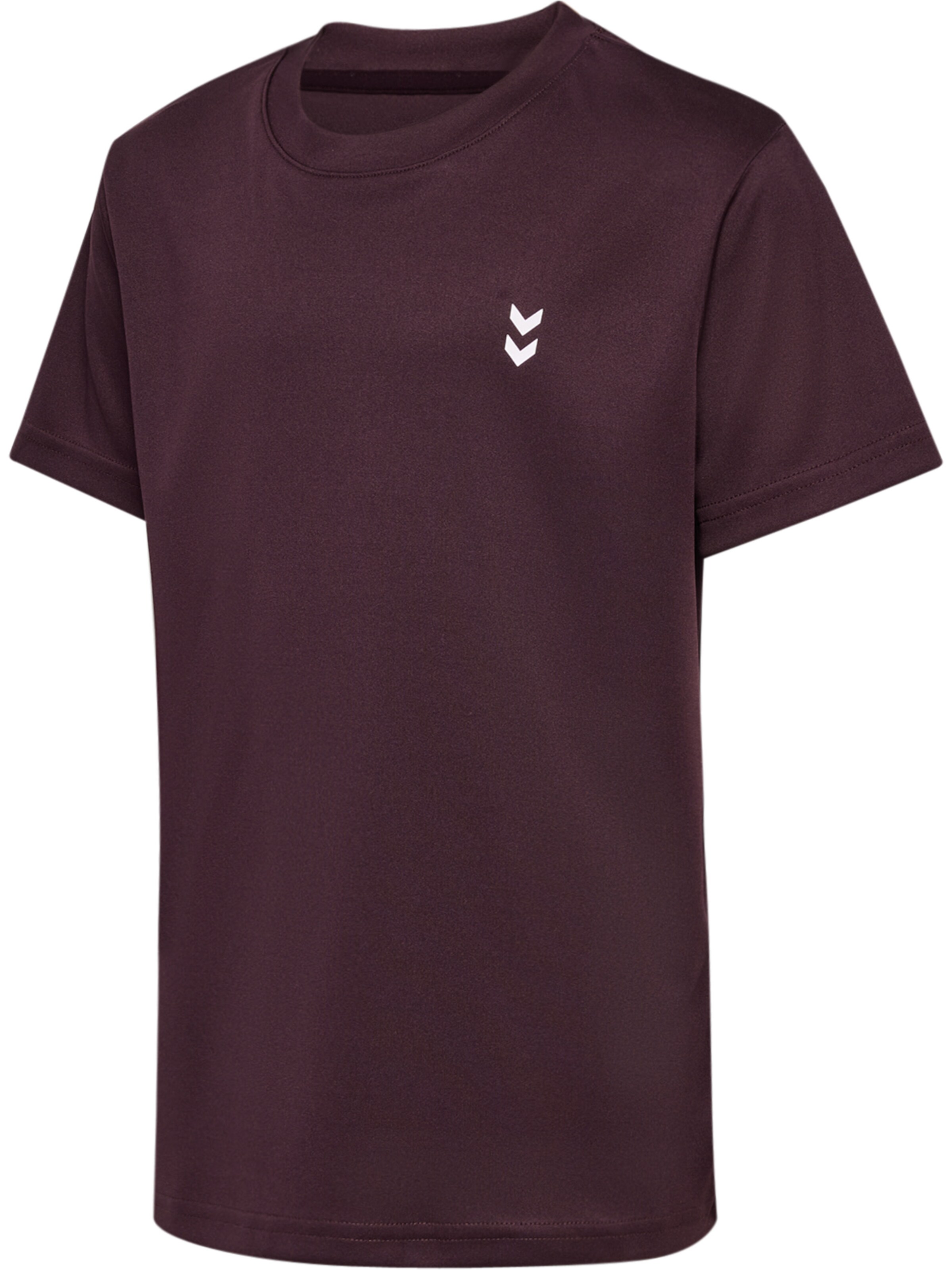 Hummel Funktionsshirt 'Pulse' in Braun