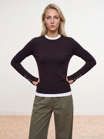 Dilvin - Pullover 'Pullover' em vermelho