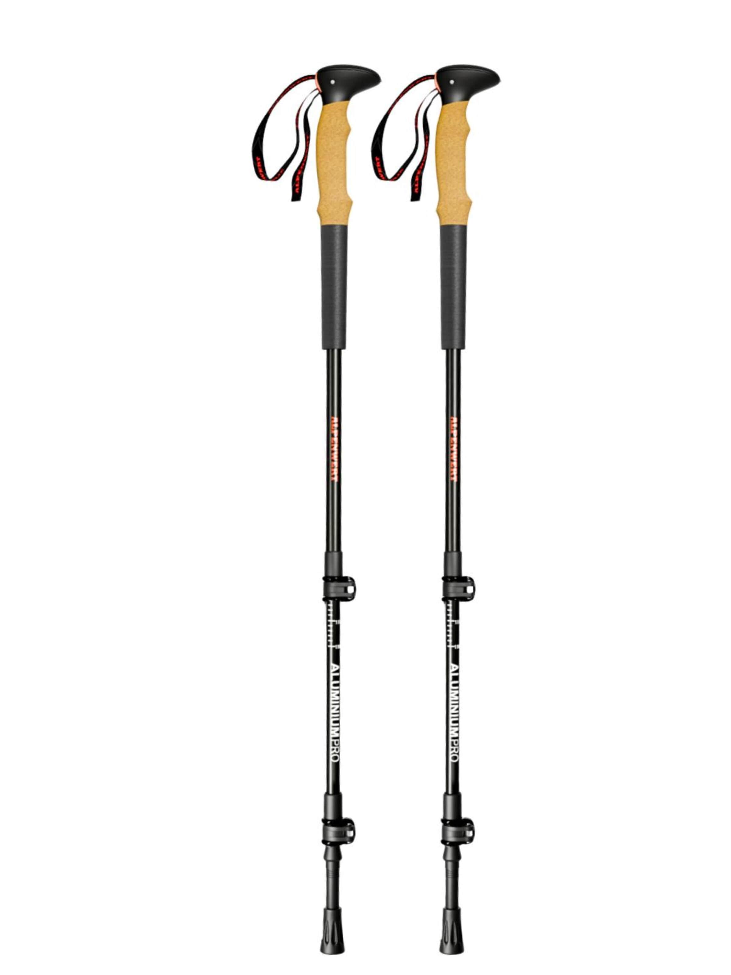 Alpenwert Stick 'Wanderstöcke Teleskop' in Grey: front
