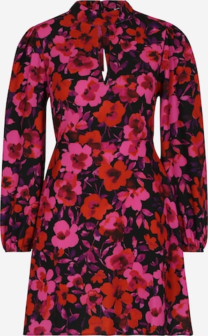 Dorothy Perkins Petite Dress in Pink: front