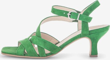 GABOR Strap Sandals in Green