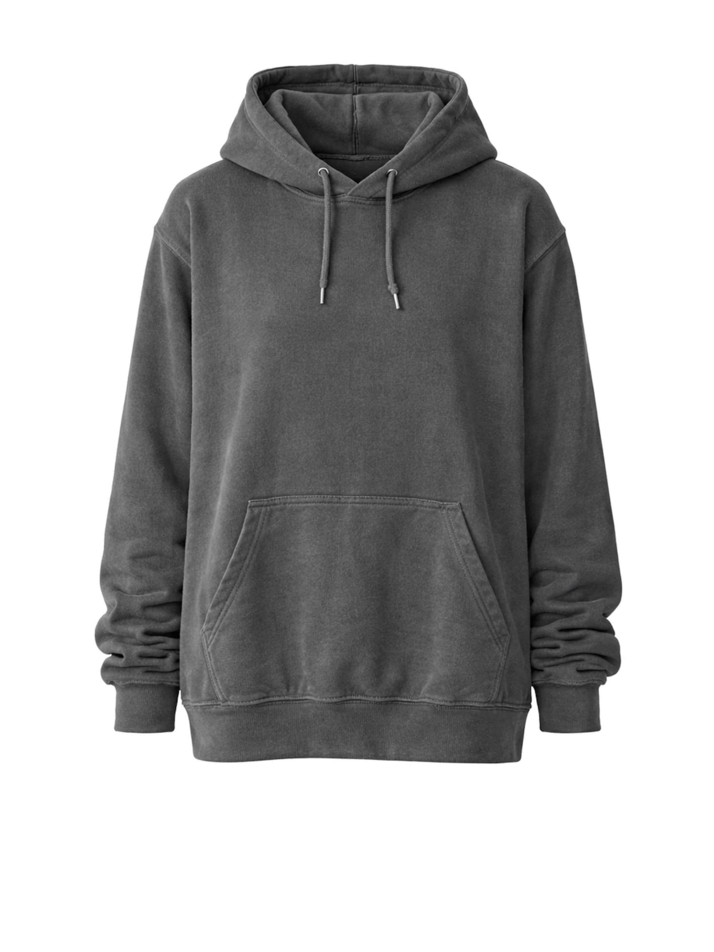 Worldclassca Sweatshirt in Grey