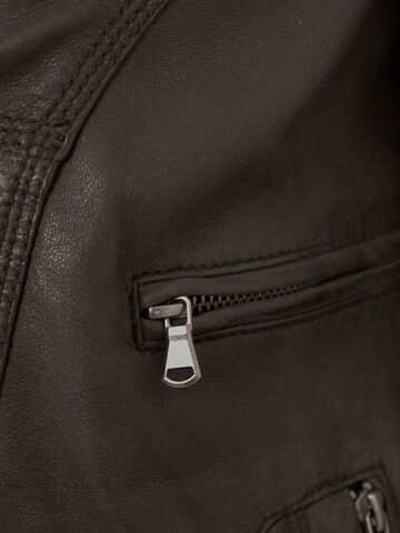 MADDOX Between-Season Jacket 'Mattis' in Brown