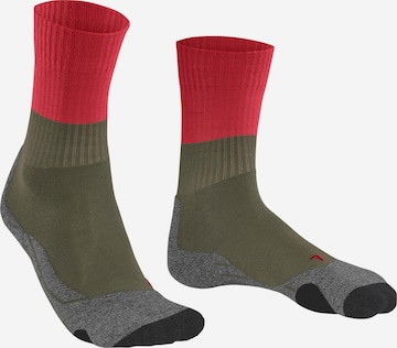 FALKE Athletic Socks 'TK2' in Mixed colors