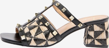 Lipsy Pistokkaat värissä musta: etupuoli