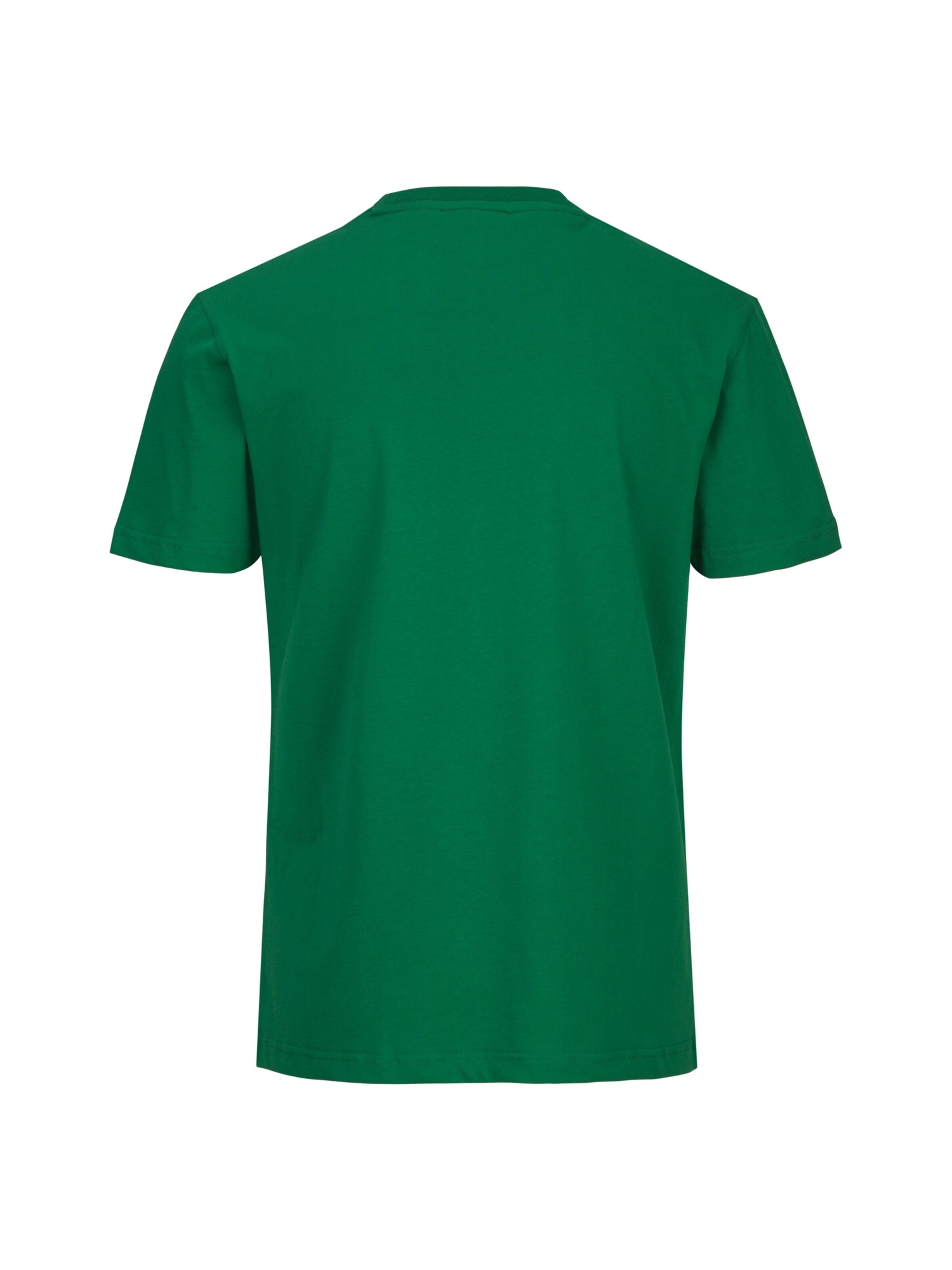 19V69 ITALIA Shirt 'Rafael Tennis 3' in Groen