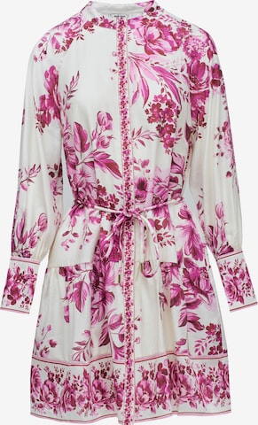 Robe Salsa Jeans en rose : devant