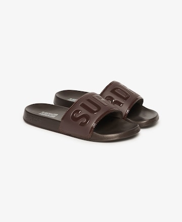 Claquettes / Tongs Superdry en marron