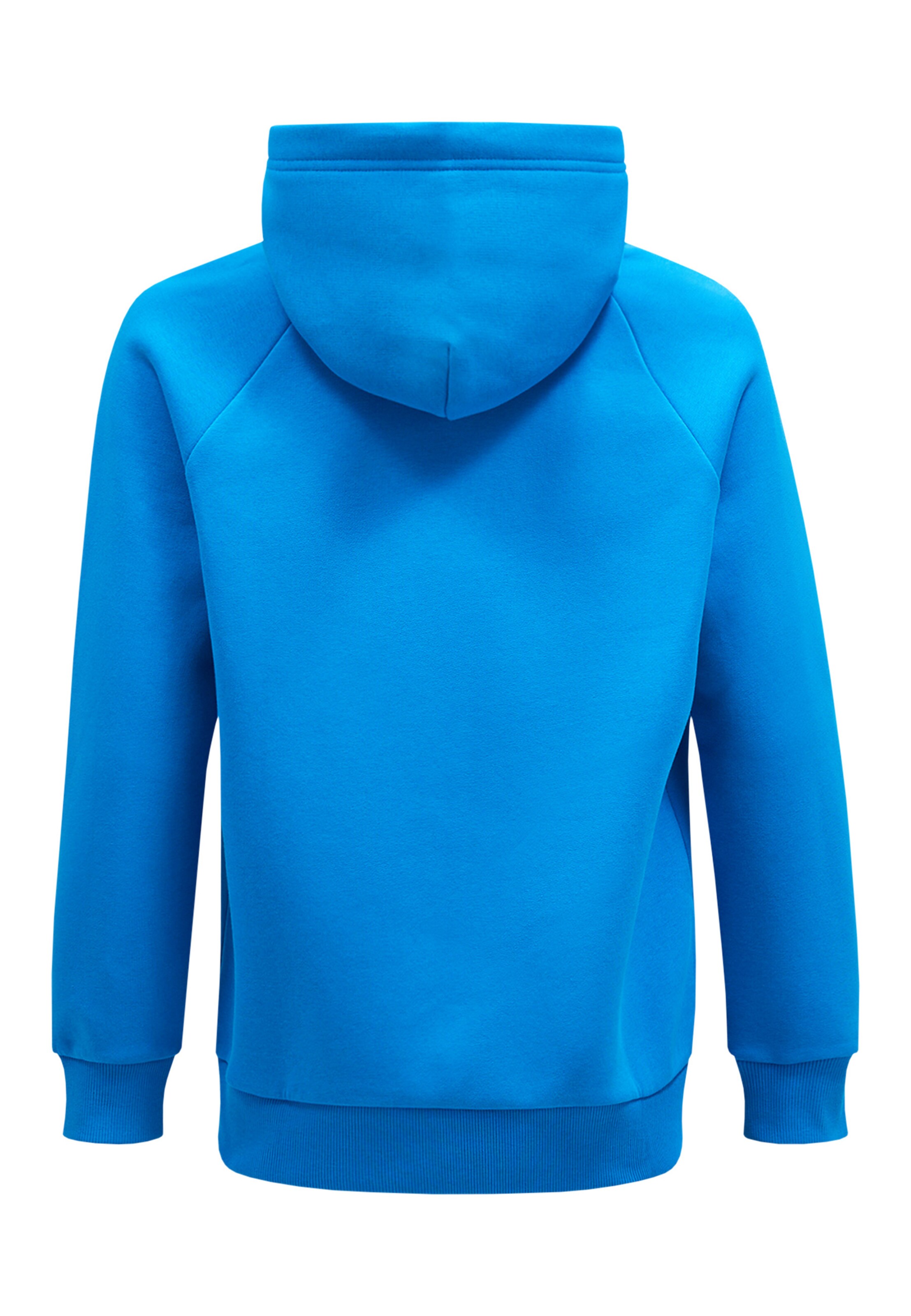 PEAK PERFORMANCE Kapuzensweatshirt in Blau