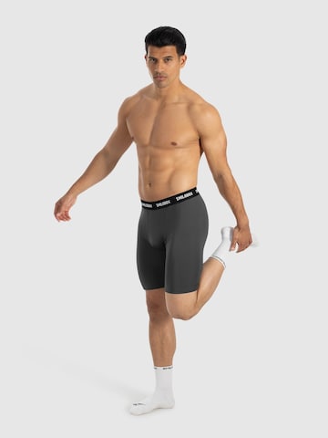 Smilodox Skinny Shorts ' Zeyn ' in Grau