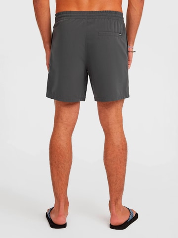 O'NEILL Kąpielówki 'O'neill Logo 16' w kolorze szary