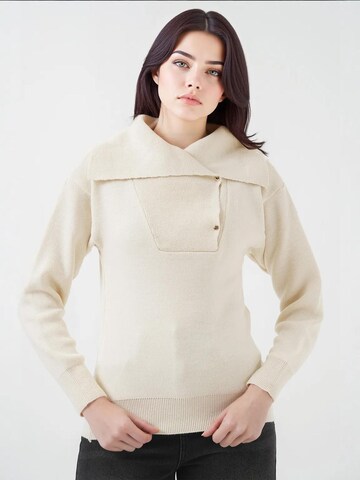 Bigdart Sweater in Mixed colors