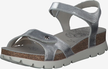 PANAMA JACK Sandals 'Sulia B' in Silver: front