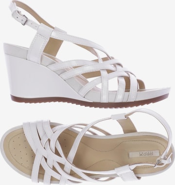 GEOX Sandals & High-Heeled Sandals in 41 in White: front
