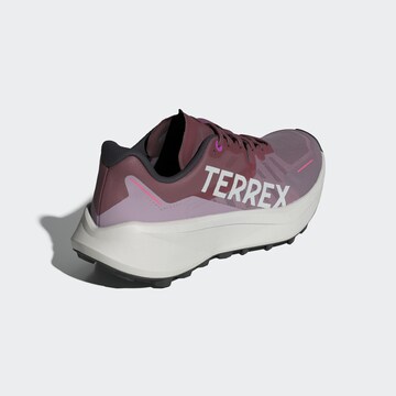 ADIDAS TERREX Low shoe 'AGRAVIC 3' in Purple