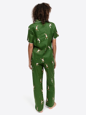 Cyberjammies Pajama pants 'Charlie' in Green
