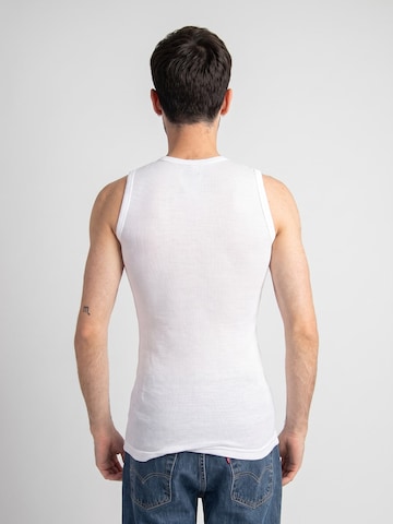 Maillot de corps 'AMSTERDAM 3 PACK VEST' DICKIES en blanc
