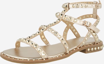 ASH Босоножки с ремешком 'PRECIOUS07' в Золотой: спереди