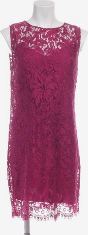 DOLCE & GABBANA Dress in S in Purple: front