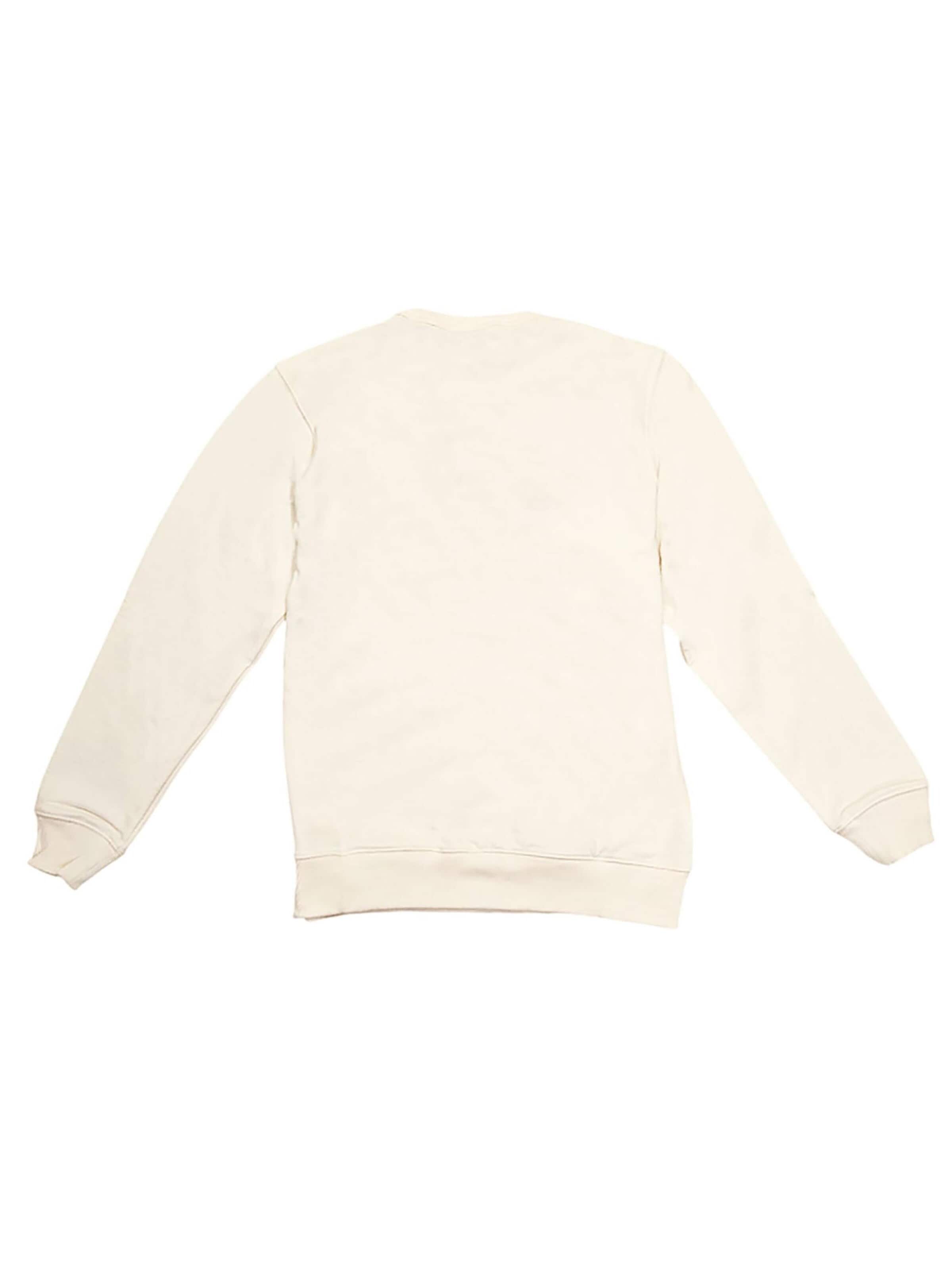 DICKIES Sweatshirt 'Aitkin'‌‌ in Beige