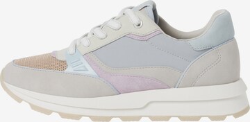 s.Oliver Sneaker in Mischfarben