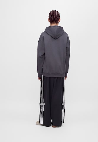 pelēks ADIDAS ORIGINALS Sportisks džemperis 'NCLR'