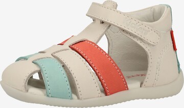 Kickers Sandals in Mixed colors: front