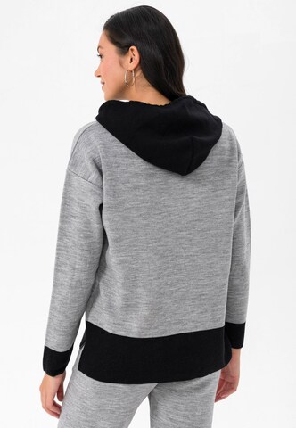 Pull-over Jimmy Sanders en gris