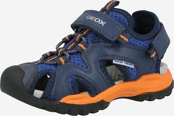 GEOX Avonaiset kengät värissä sininen: etupuoli