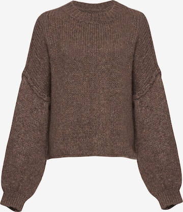 Lilavie Strickpullover ' L ' in Braun: Vorderseite