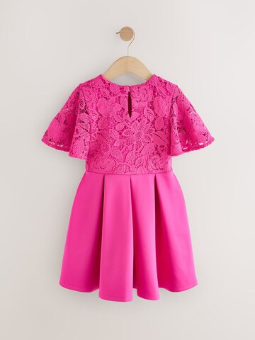 Next Kleid in Pink