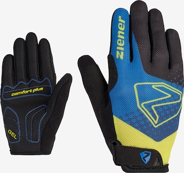 ZIENER Fahrrad-Handschuhe 'COLO' in Blau: predná strana