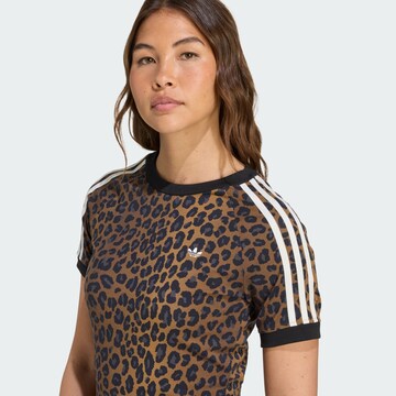 ADIDAS ORIGINALS Koszulka 'Cali' w kolorze brązowy
