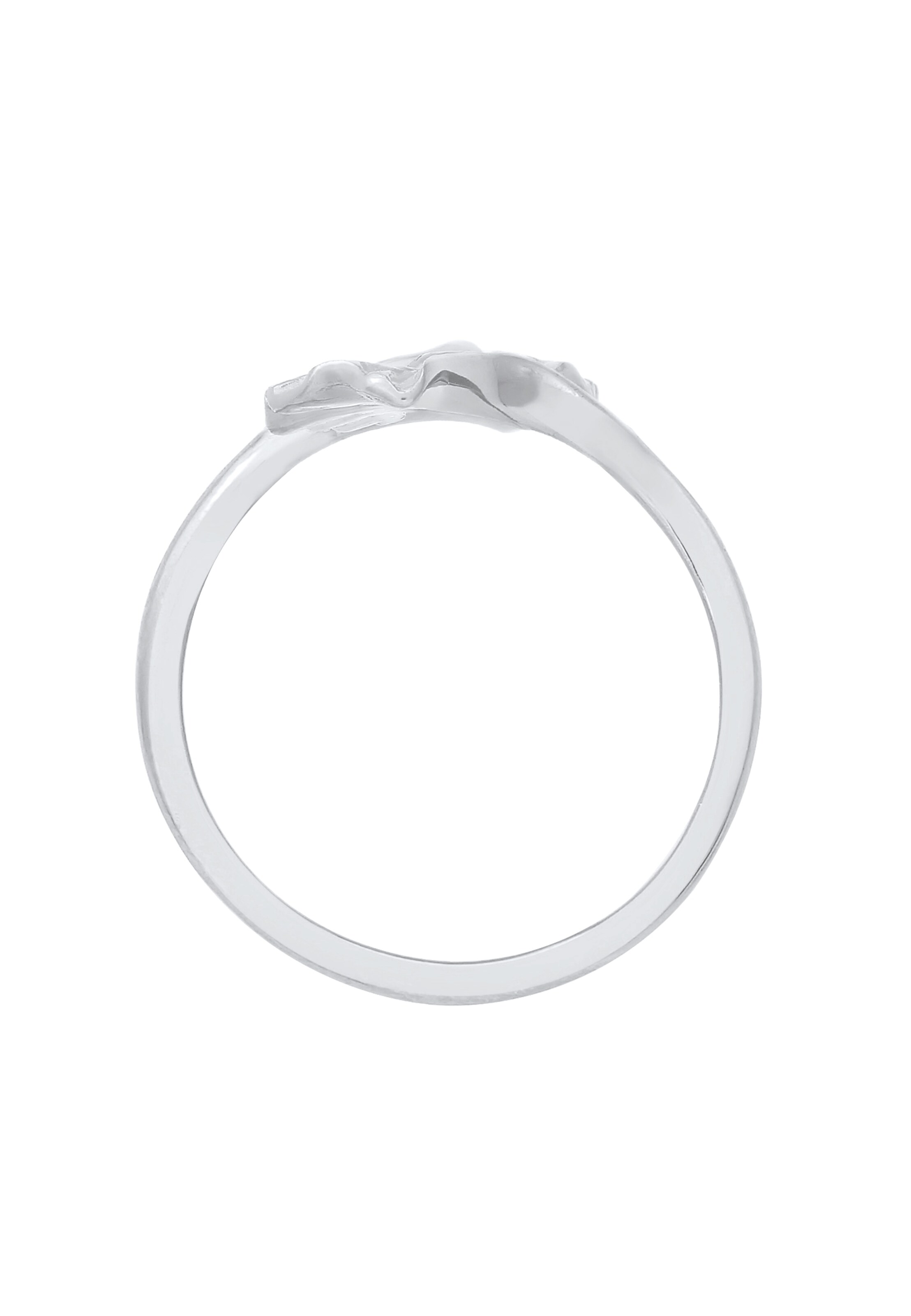ELLI Ring in Silber