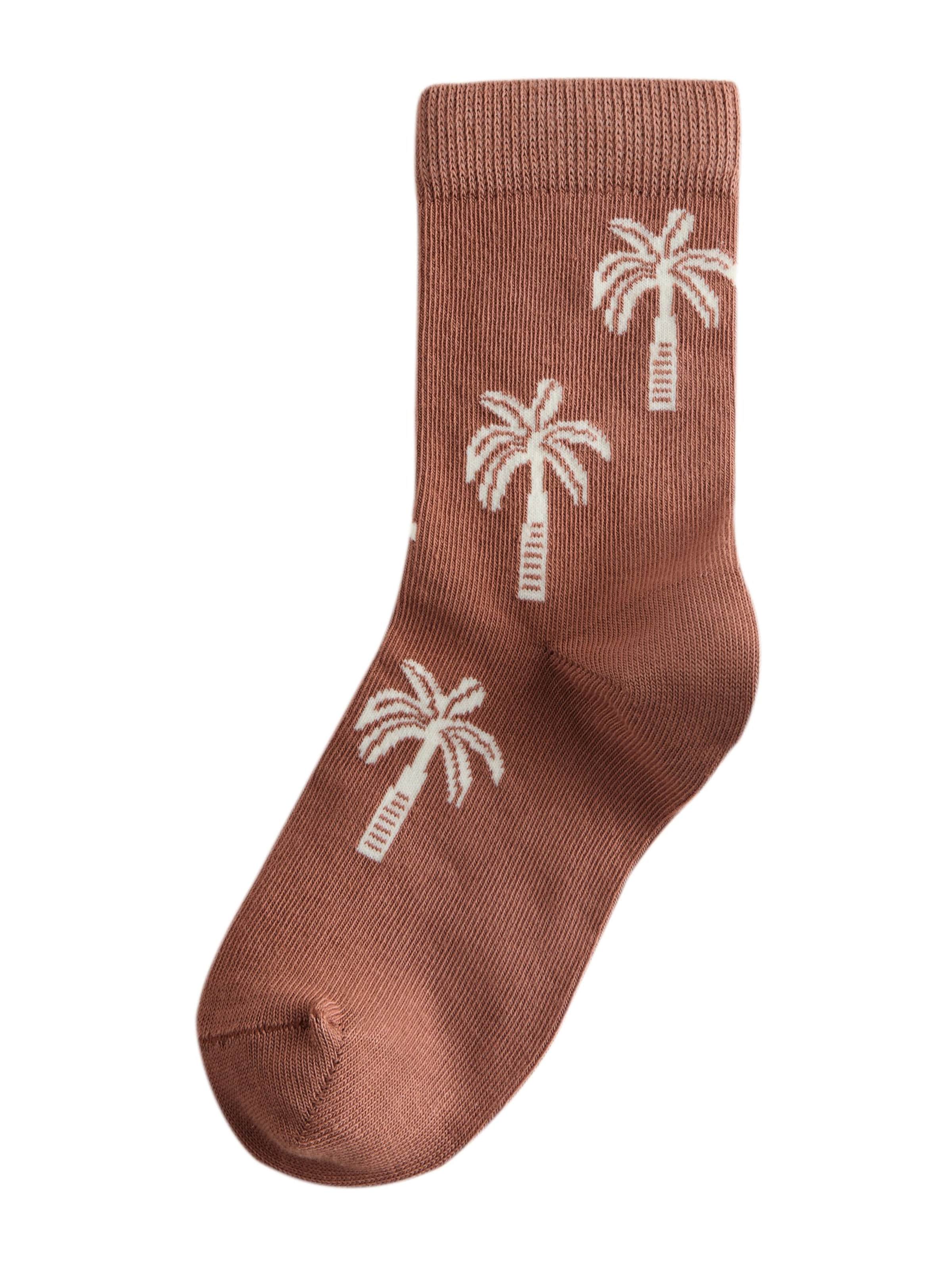 Next Socks in Mixed colours