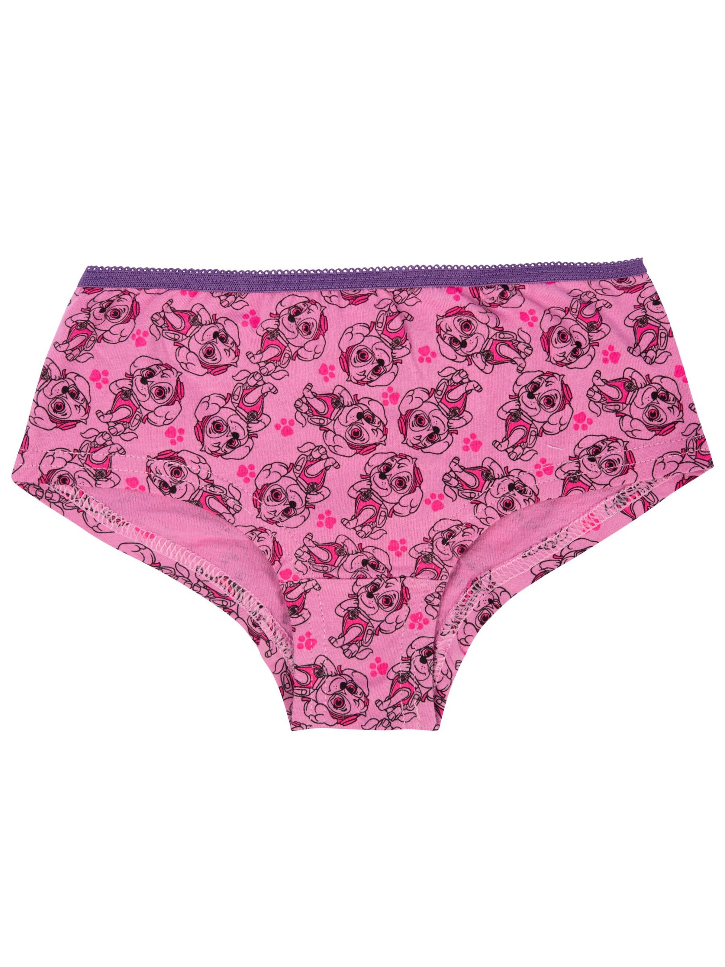 Paw Patrol Underpants in Purple