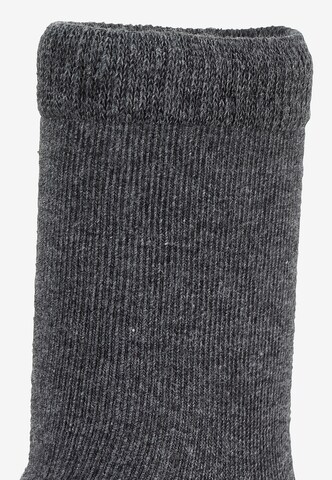 STERNTALER Socken in Grau