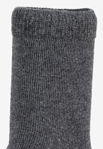 STERNTALER Socks in Grey