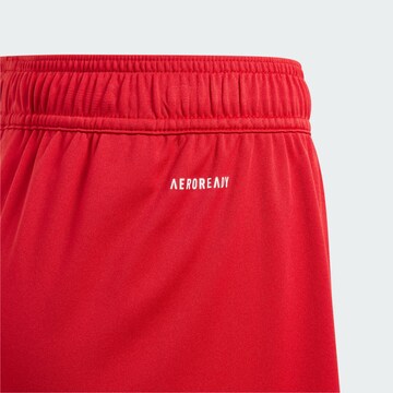 ADIDAS PERFORMANCE Regular Sports trousers 'Fortore 23' in Red