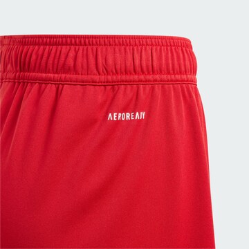 ADIDAS PERFORMANCE Regular Sportbroek 'Fortore 23' in Rood