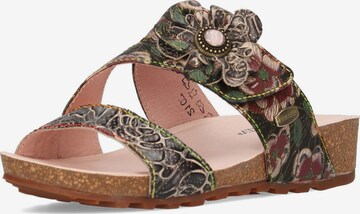 Laura Vita Mules in Mixed colors: front