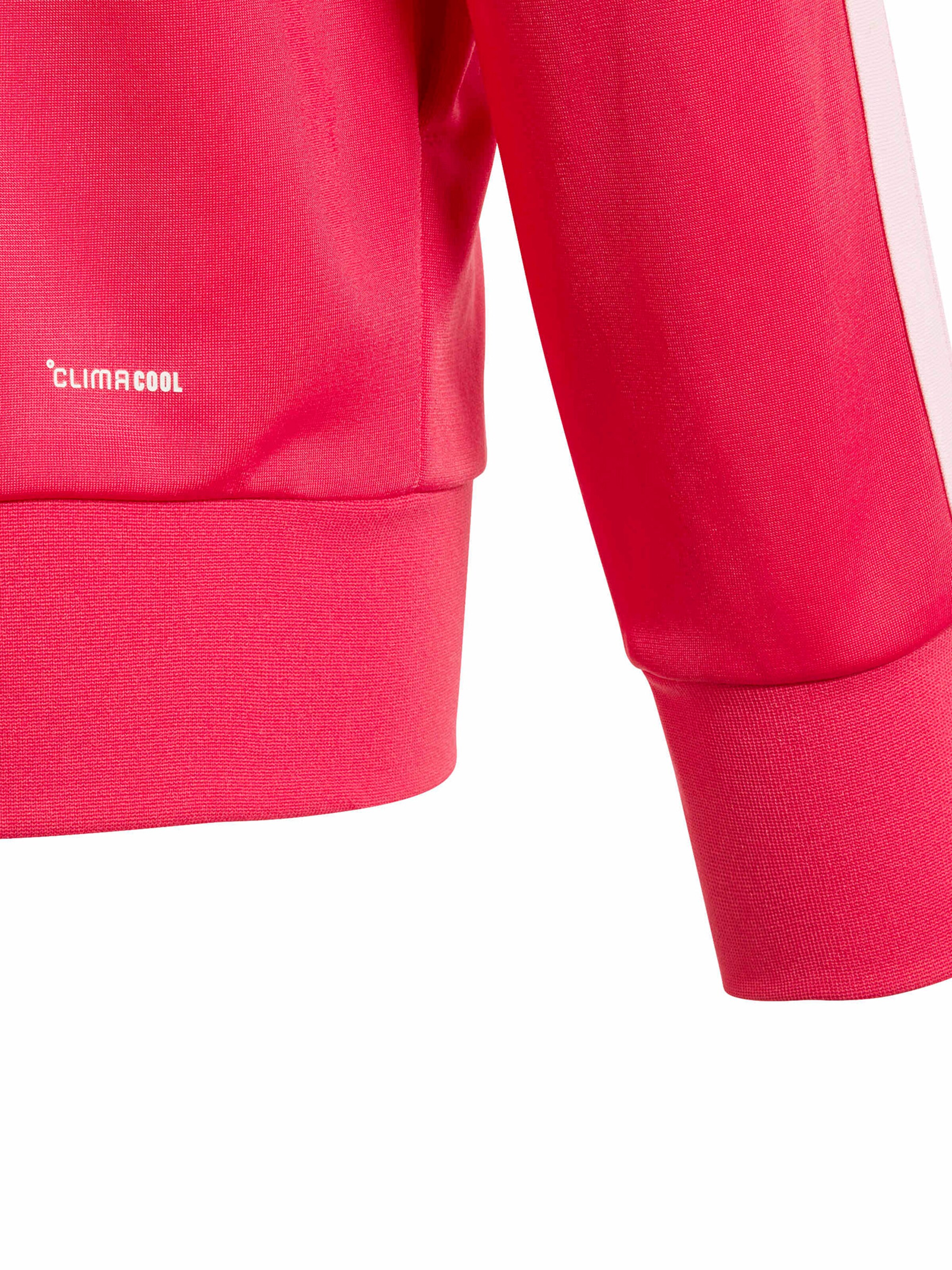 ADIDAS SPORTSWEAR Träningsdräkt i rosa
