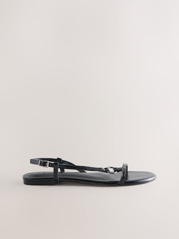 Next Sandalen met riem 'Forever Comfort' in Zwart