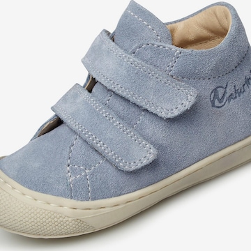 NATURINO Sneaker 'COCOON VL' in Blau: Vorderseite