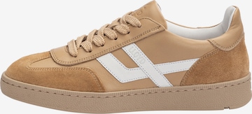 Baskets hautes LLOYD en beige : devant