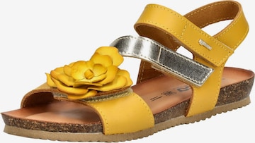 Sandalo con cinturino di IGI&CO in giallo: frontale