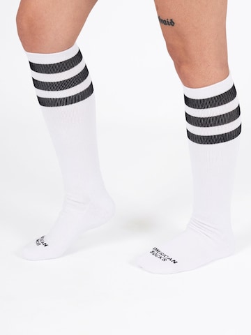 American Socks Knee socks 'Old School' in White